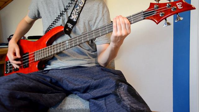 Arctic Monkeys - Fluorescent Adolescent (Bass Cover) смотреть онлайн