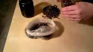 Рецепт пчелиного подмора или эликсир молодости и лекарство от рака