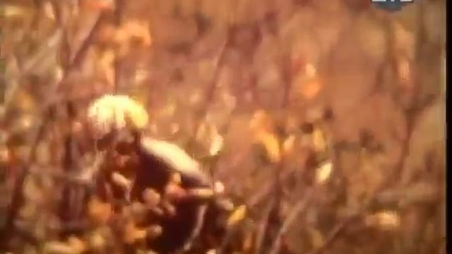 Снежный человек Часть 04 смотреть онлайн