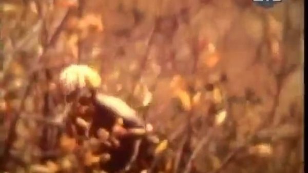 Снежный человек  Часть 04