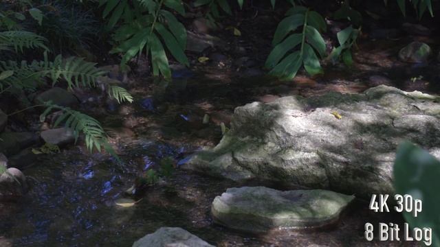 Canon EOS R Video Test 4K!! смотреть онлайн