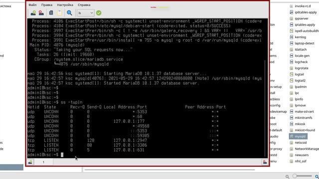 Установка MariaDB на Astra Linux 1.6 SE Смоленск смотреть онлайн