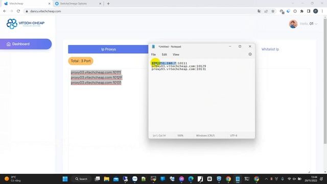 Hướng dẫn chuyển dạng domain:port sang dạng ip:port đối với proxy ipv4 dân cư - VitechCHEAP смотреть онлайн