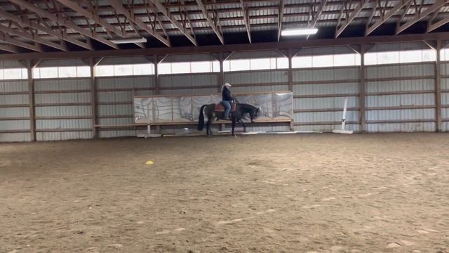 SOLD 2017 AQHA Gelding By A Sudden Star For Sale смотреть онлайн