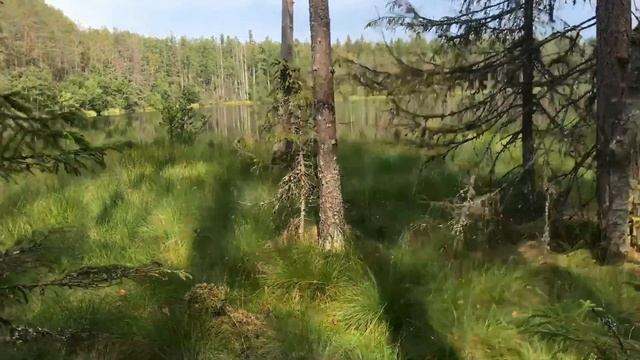 Как меня на рыбалку возили смотреть онлайн