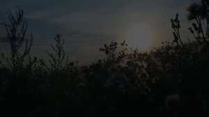 Песни о космодроме Байконур Игоря Чижика.