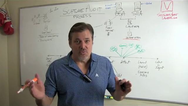 Software audit process explained by Attorney Steve - Part 1 of 2 смотреть онлайн