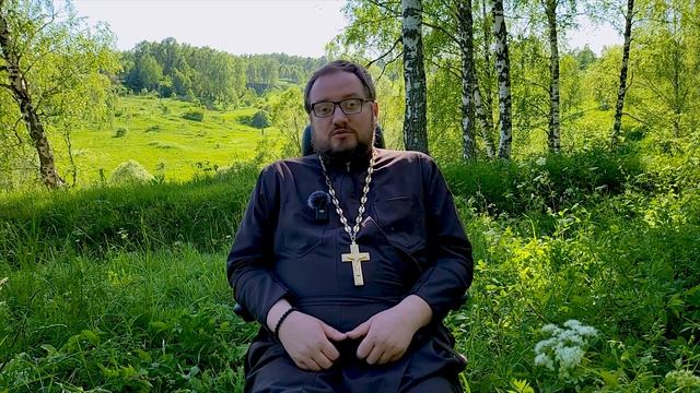 ПОЧЕМУ СУПРУЖЕСКАЯ ИЗМЕНА РАЗРУШИТЕЛЬНА? / Иерей Владислав Береговой @priest_vladislav смотреть онлайн