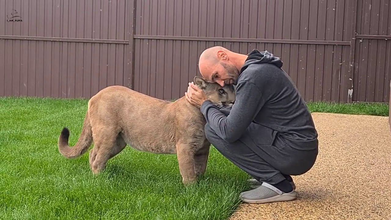 Месси врезался в дерево!