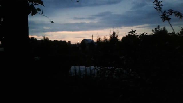 VLOG: ВЫХОДНЫЕ НА ДАЧЕ/БЛУДНЫЙ ЛИЗА ВЕРНУЛСЯ!!! смотреть онлайн