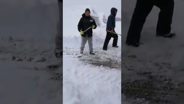 ЗОЛОТАЯ КЛУБНИКА В 2021 - ЗАВАЛИЛО СНЕГОМ ТЕПЛИЦЫ В КРАСНОДАРСКОМ КРАЕ смотреть онлайн