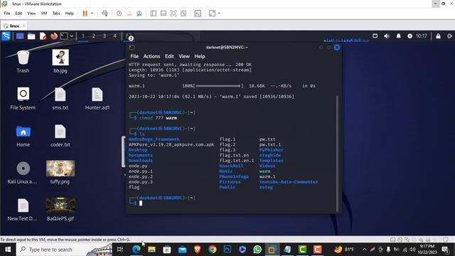 picoCTF General Skills Wave a flag | CTF 03 смотреть онлайн