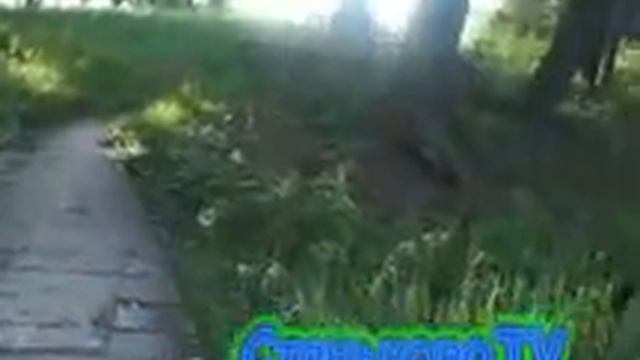 Графский парк и озеро в Станьково смотреть онлайн