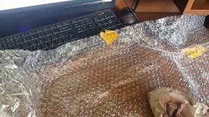 Кроссовки ,сифон для аквариума