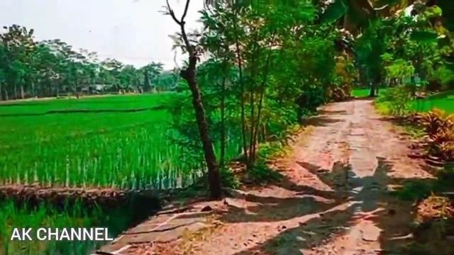 Public Agent in Java смотреть онлайн