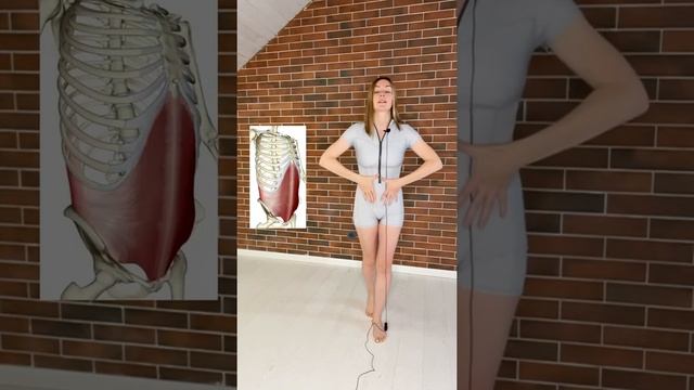 Валик внизу живота. Как от него избавиться? #плоскийживот #жирнаживоте