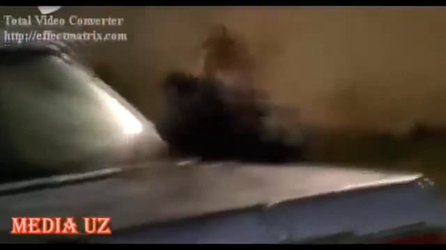 Qashqirlar Makoni Xaqida Qisqacha Malumot смотреть онлайн