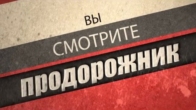 Продорожник. Citroën C4, ASIA Rocsta, цветы от ГАИ, донецкий ботанический сад. смотреть онлайн