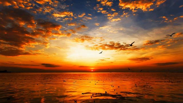 Почему нам больно Часть 2 смотреть онлайн