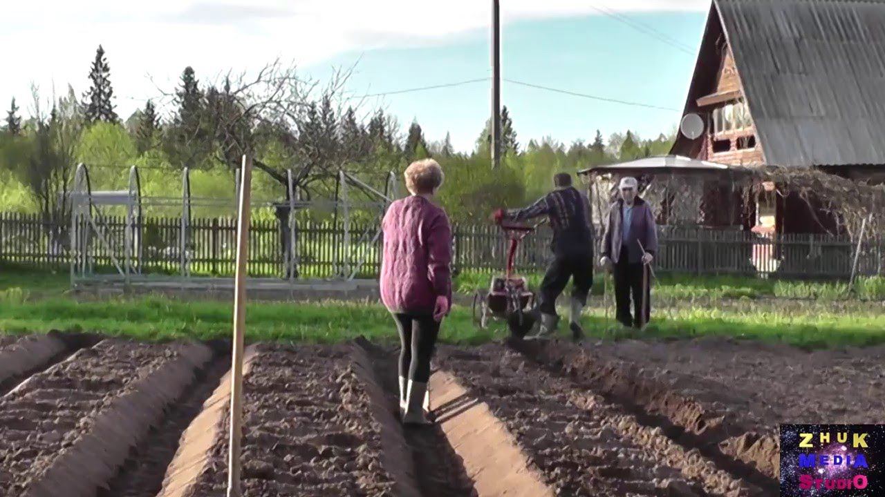 Как сделать грядки смотреть онлайн