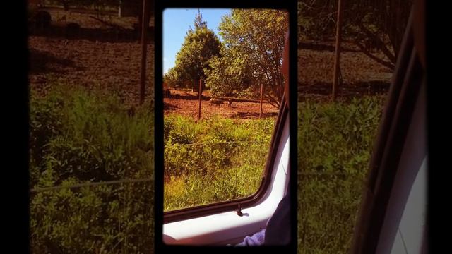 Забота о дикой природе