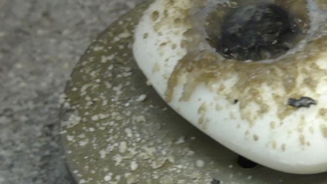 Раскалённый Стальной Шар и Мыло . смотреть онлайн