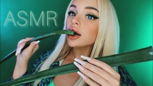 АЛОЭ ВЕРА В ПИЩУ