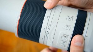 Canon RF 100-500mm f/4.5-7.1 'L' IS USM lens review with samples