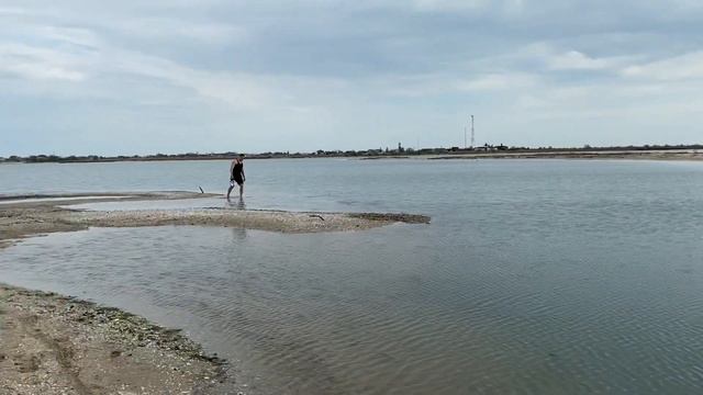 Заповедник «Бердянская коса», кайфуем с друзьями от жизни и Азовского моря 🌴🦜🐚 смотреть онлайн