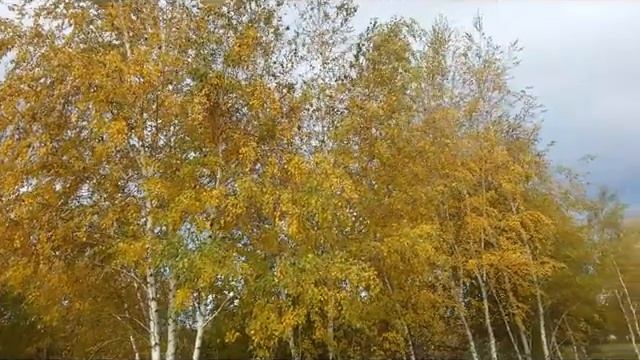 Александр Блок Всё бытие и сущее согласно смотреть онлайн