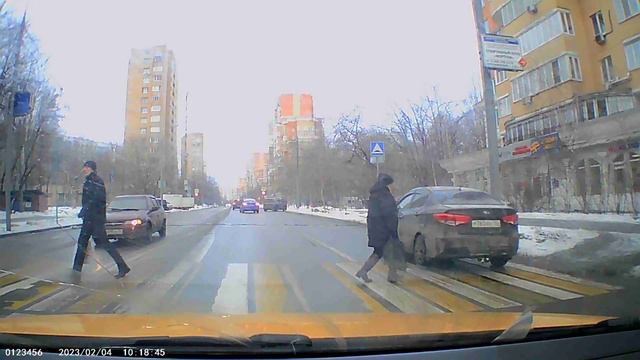 два оленя не пропустили пешеход!