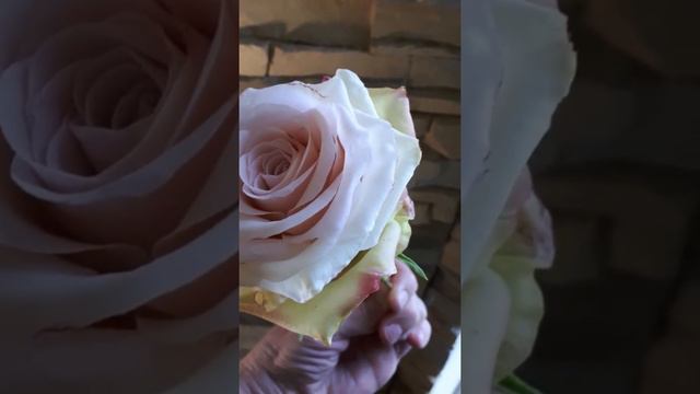 Цветы из холодного фарфора, часть того, что я слепила в этом году смотреть онлайн