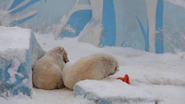 Главное устроиться поудобней. смотреть онлайн