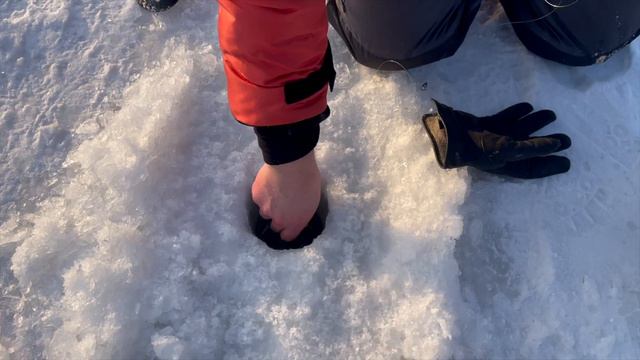 "Экстремальная зимняя рыбалка на жерлицах: в поисках трофейной рыбы в глухозимье реки Томь" смотреть онлайн