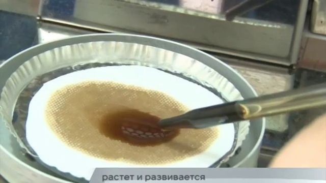 12-10-15 - Завод "Полипласт-ЮГ" в Платнировской смотреть онлайн