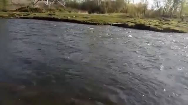 Рыбалка на БАЗАИХИ!!!.Красноярск!!ПРЕКРАСНЫЙ УЛОВ НА УДОЧКУ смотреть онлайн