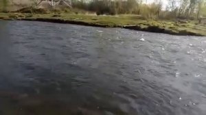 Рыбалка на БАЗАИХИ!!!.Красноярск!!ПРЕКРАСНЫЙ  УЛОВ НА УДОЧКУ