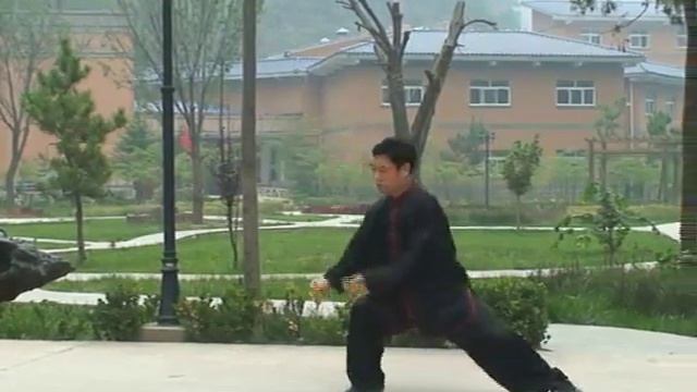 Чень Тайцзицюань. 71 форма. Мастер Dǎngguó Jùn. смотреть онлайн