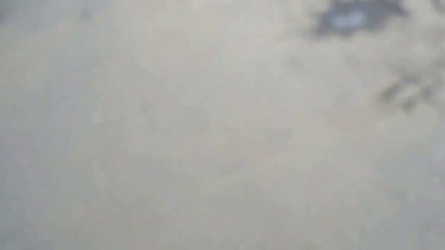 Охрана автозаводского парка грубо нарушает права гражданина смотреть онлайн