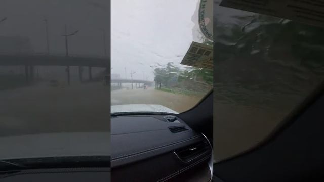 Тайфун пришёл во Владивосток ? это жесть ? 08.06.2023 смотреть онлайн