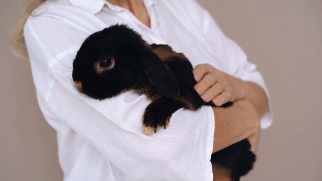 Самый счастливый год Лунного цикла смотреть онлайн