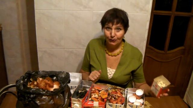 Сад и Огород: Зимняя подготовка к дачному сезону смотреть онлайн