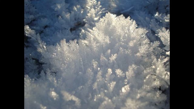 Никитское-2 . Зимнее поле. декабрь 2020 г. смотреть онлайн