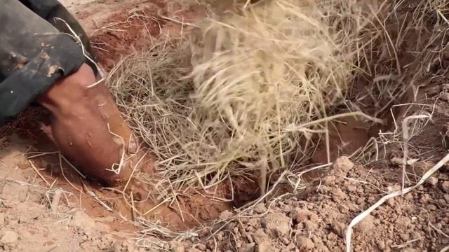 Build most beautiful Mud House Ancient primitive style | Primitive Technology | Building Skill смотреть онлайн