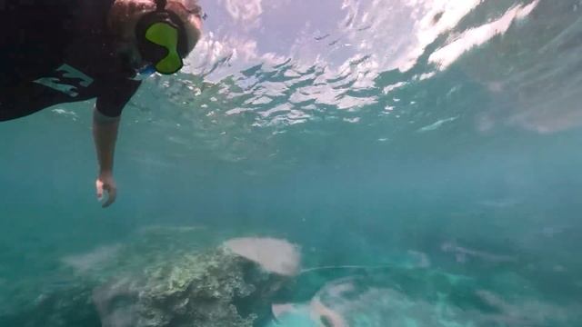 OverCapture Edit from Gopro Fusion and 360 Bubble housing смотреть онлайн