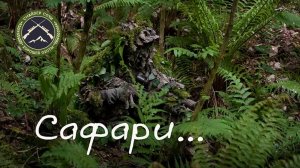 Сафари_Safari. Страйкбол в Сочи. Airsoft sniper.