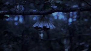 Minuscule - Top Tobasco