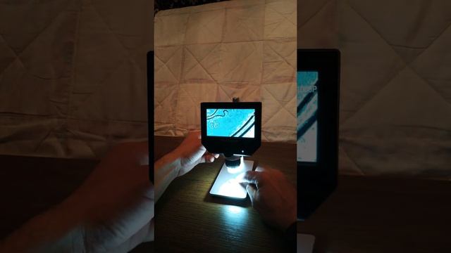 Микроскоп Microscope цифровой электронный с экраном смотреть онлайн