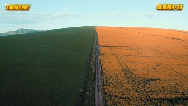 ВЗРОСЛАЯ ЖЕНЩИНА ЗАХОМУТАЛА ПАРНЯ СВОИМИ НАВЫКАМИ смотреть онлайн