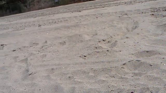 WES killing some ants. смотреть онлайн